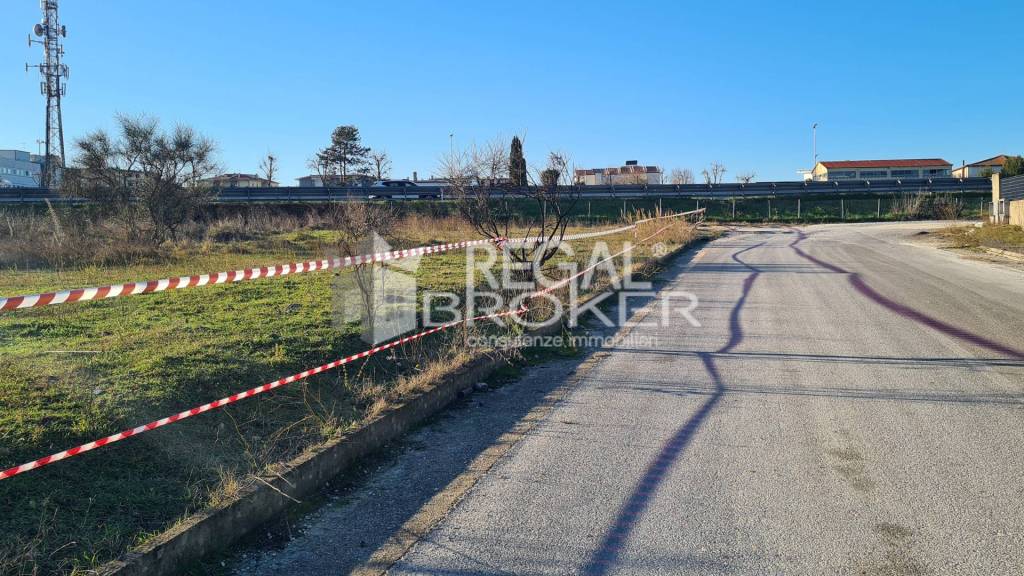 immagine annuncio 2 di 7