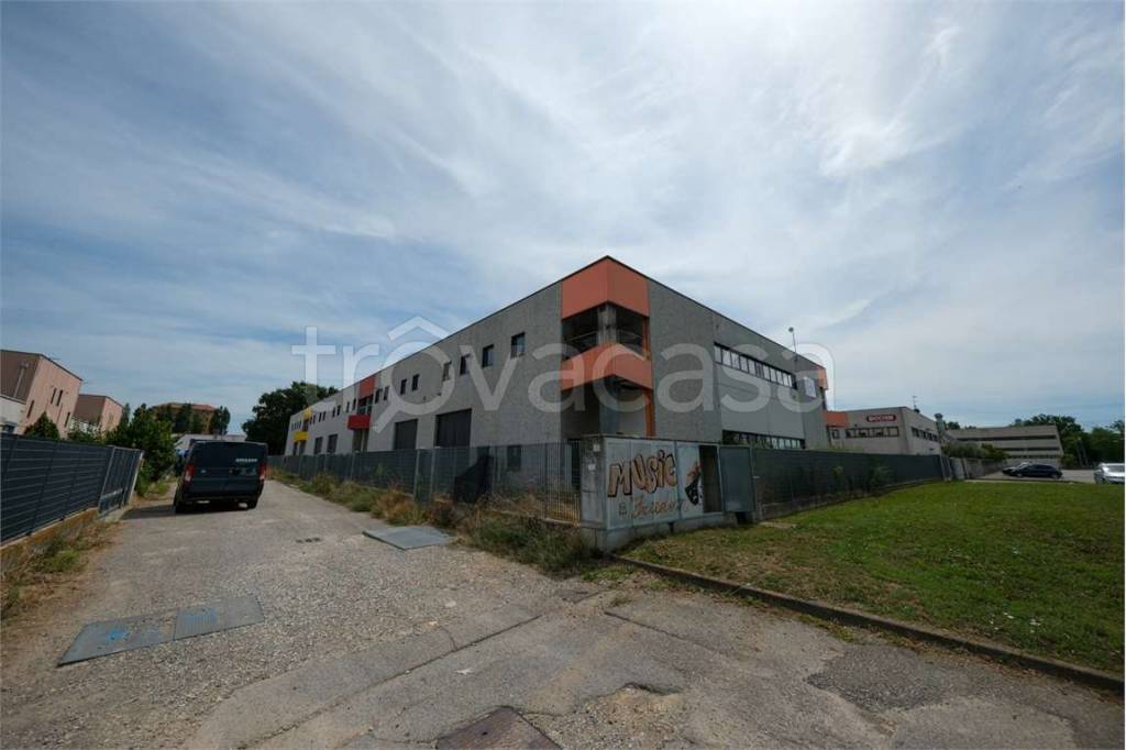 immagine annuncio 1 di 11