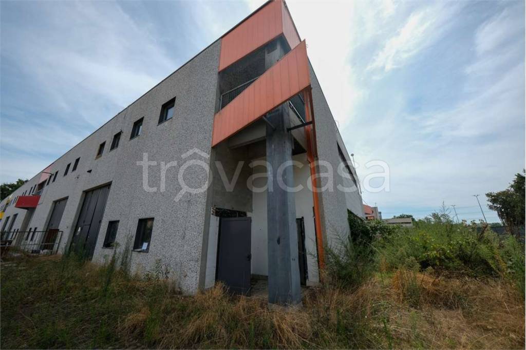 immagine annuncio 8 di 11