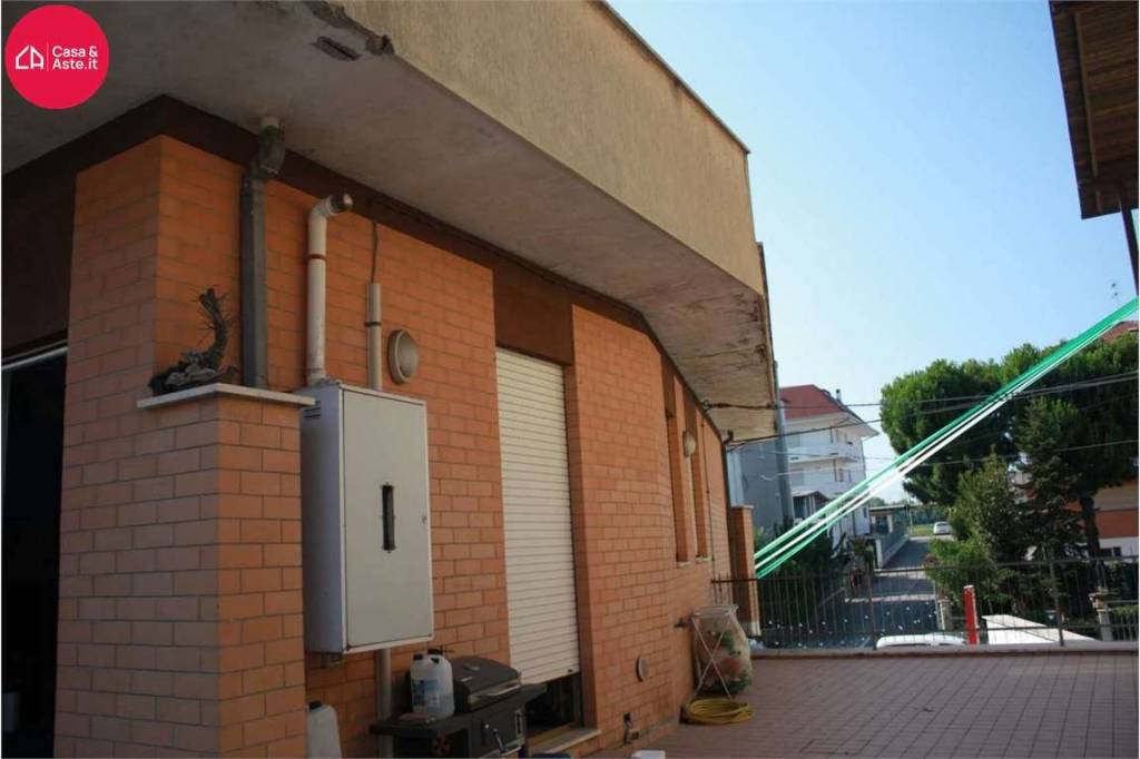 immagine annuncio 3 di 11