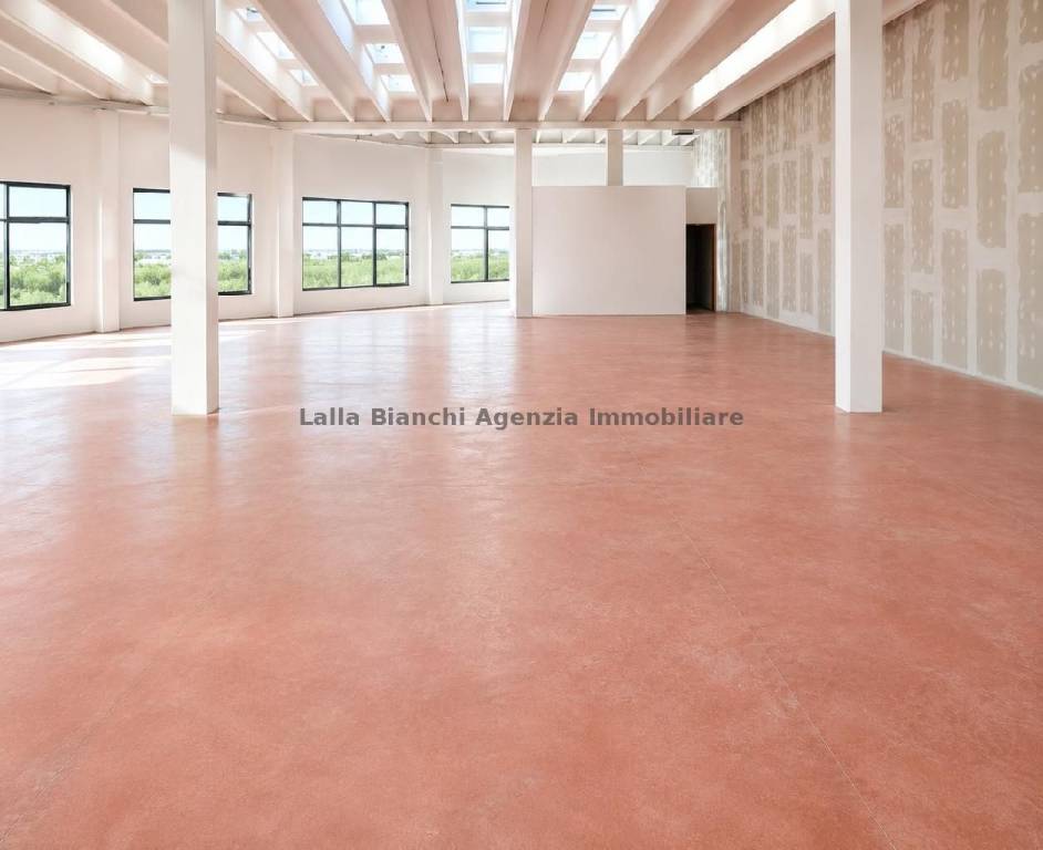 immagine annuncio 5 di 14