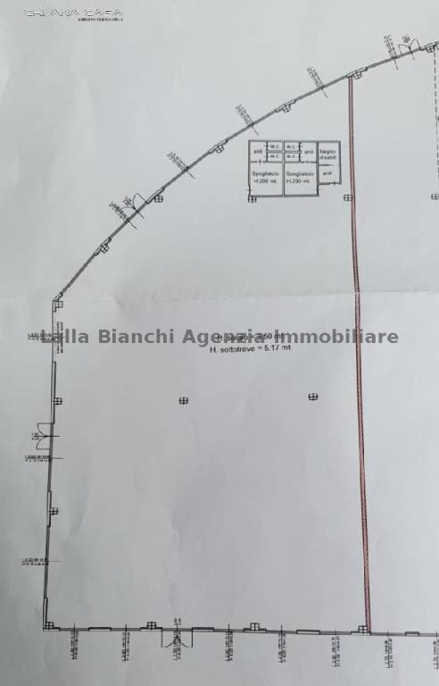 immagine annuncio 12 di 14