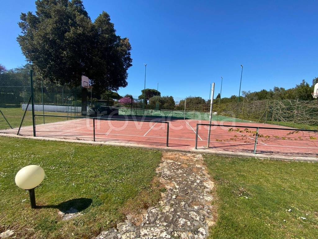immagine annuncio 2 di 12