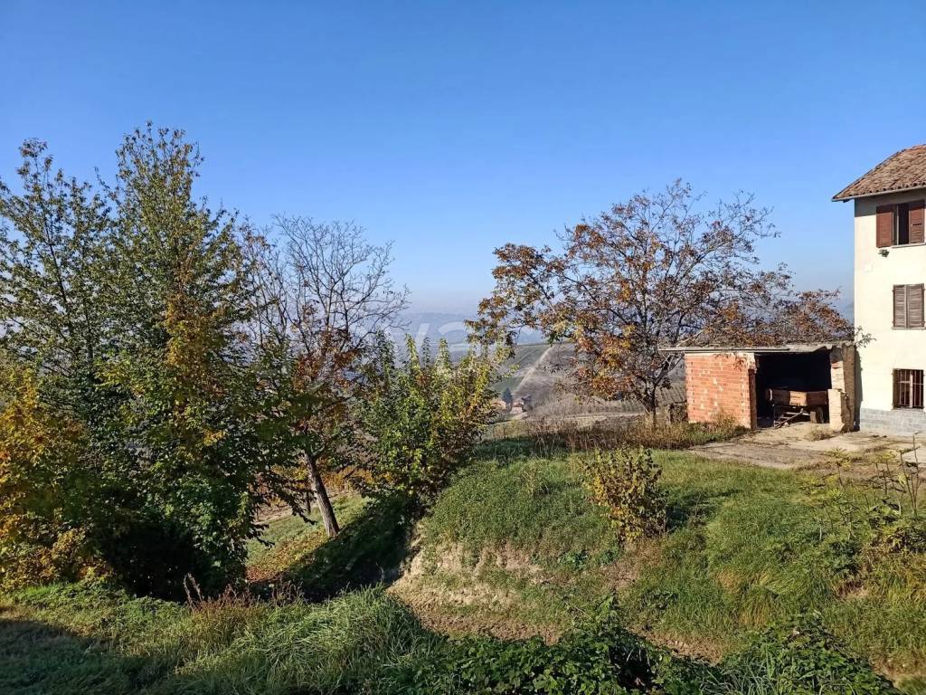 immagine annuncio 8 di 13