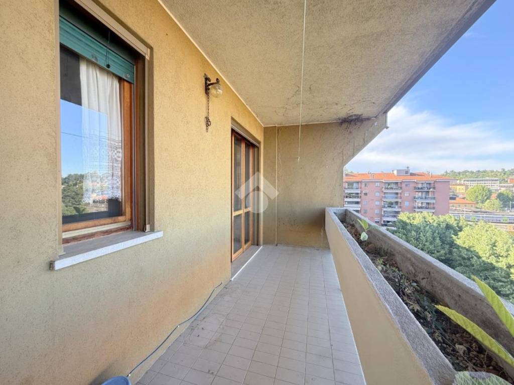 immagine annuncio 7 di 14