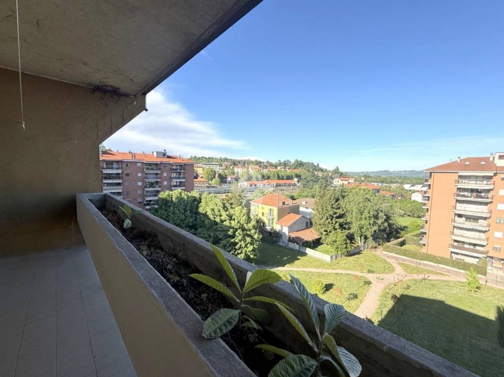 immagine annuncio 9 di 14