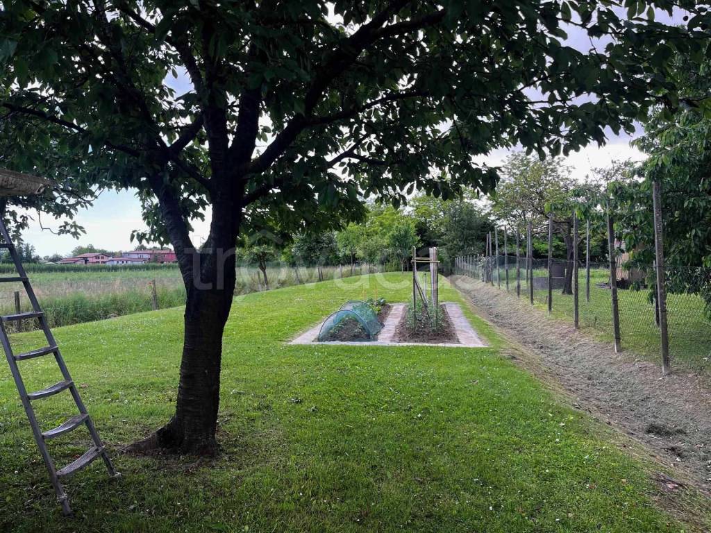 immagine annuncio 3 di 14