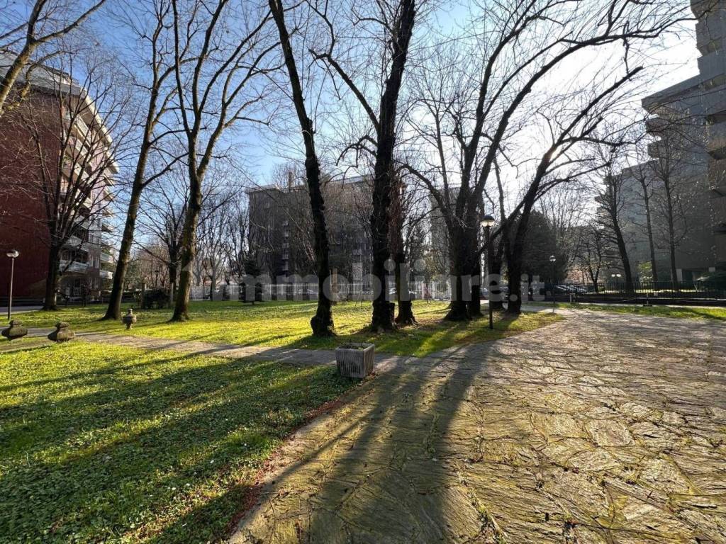 immagine annuncio 5 di 15