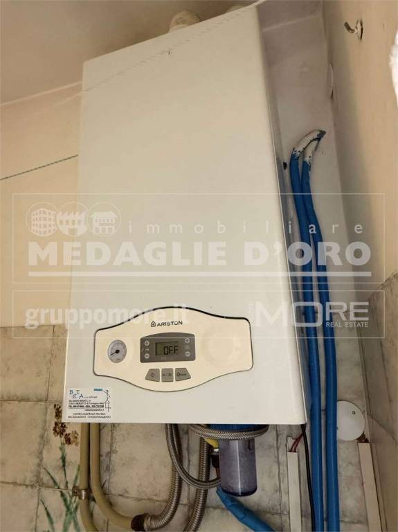 immagine annuncio 11 di 12