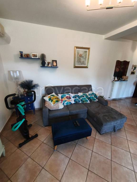 immagine annuncio 11 di 15