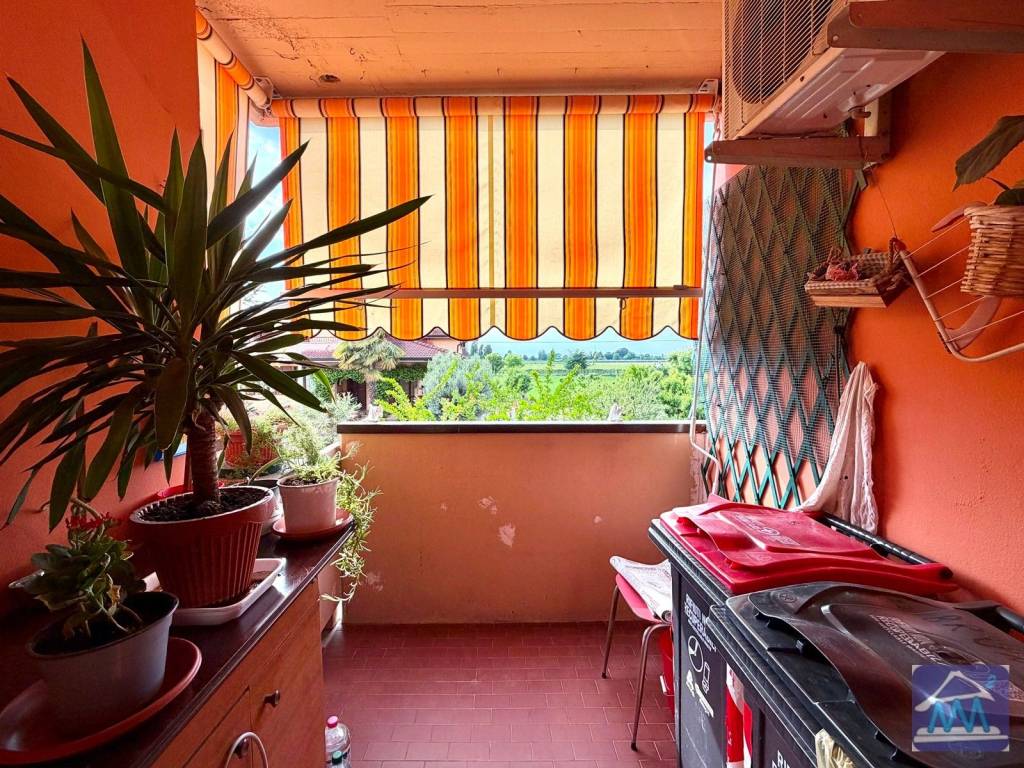 immagine annuncio 9 di 14