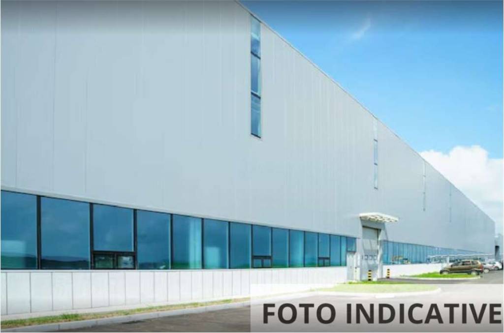 immagine annuncio 2 di 12