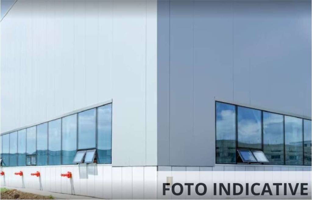 immagine annuncio 5 di 12