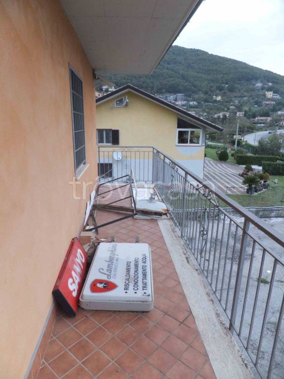 immagine annuncio 9 di 11