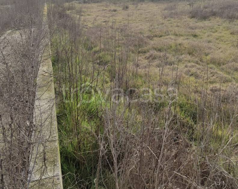 immagine annuncio 4 di 9