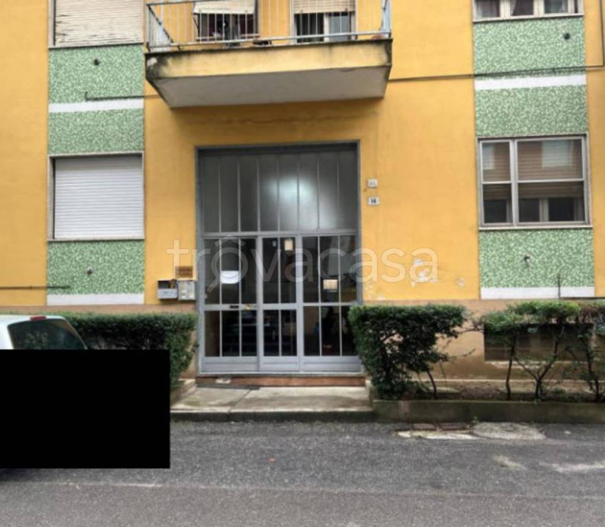 immagine annuncio 3 di 11