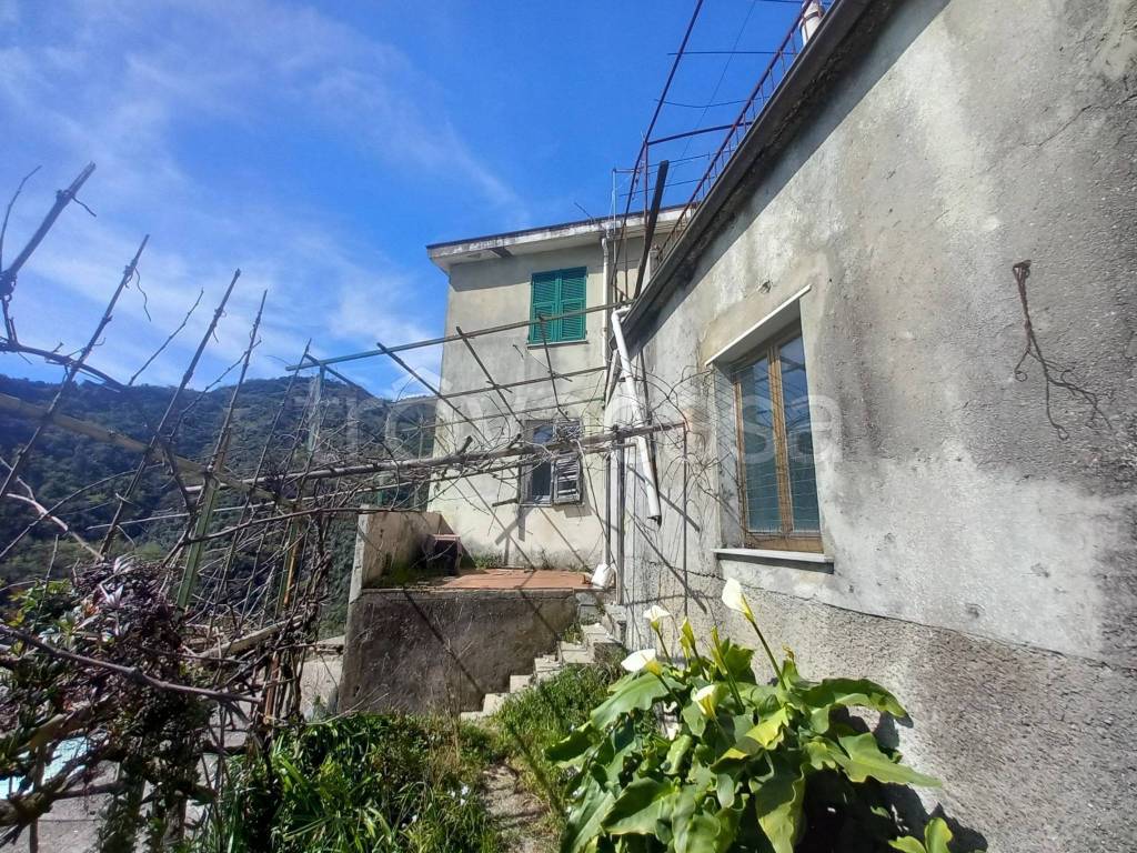 immagine annuncio 2 di 14