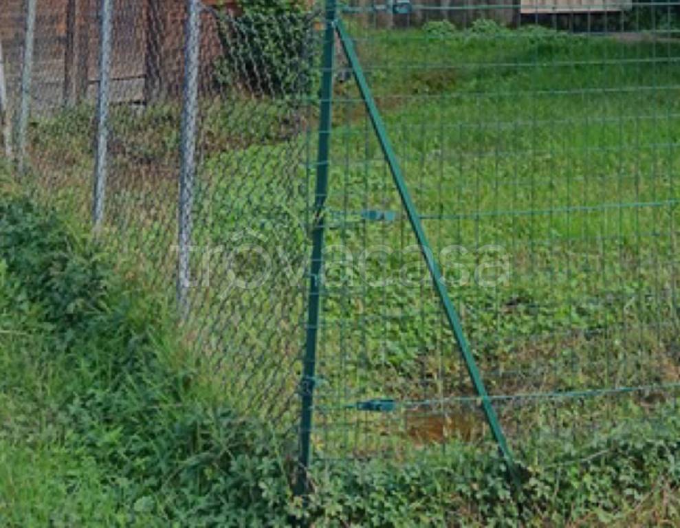 immagine annuncio 6 di 11