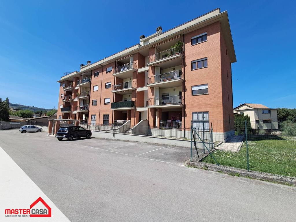 immagine annuncio 2 di 11