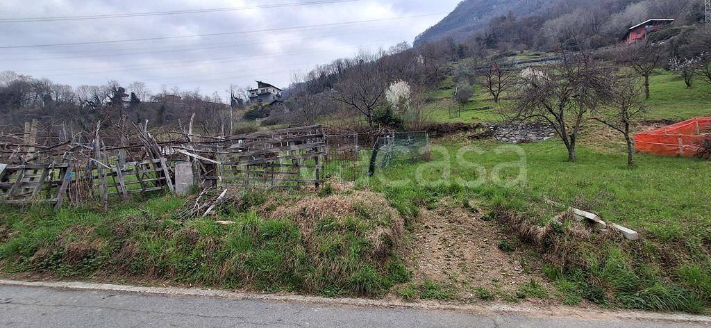 immagine annuncio 2 di 12