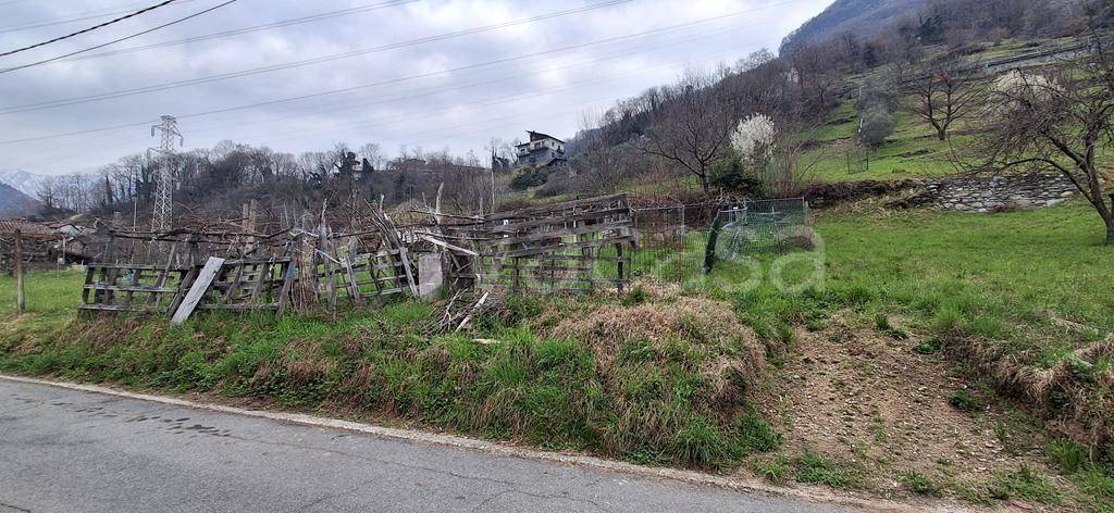 immagine annuncio 3 di 12