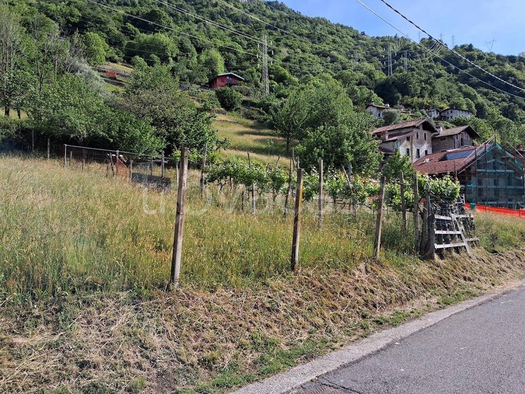 immagine annuncio 9 di 12