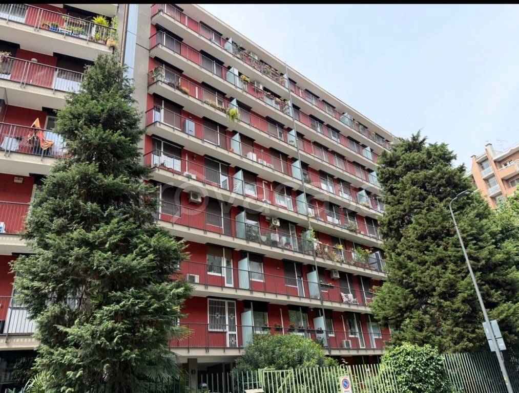 immagine annuncio 2 di 12