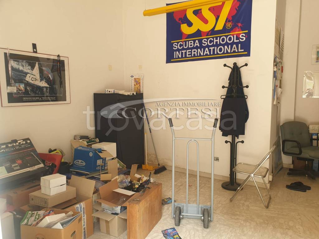 immagine annuncio 2 di 4