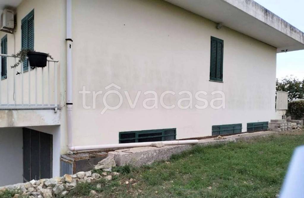 immagine annuncio 4 di 12