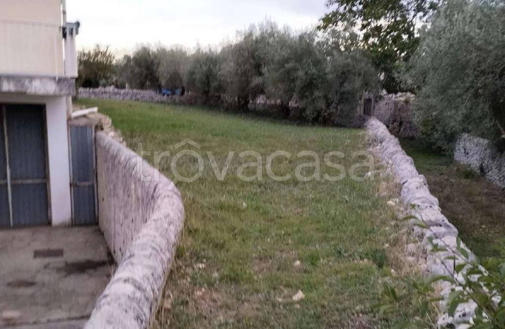 immagine annuncio 8 di 12