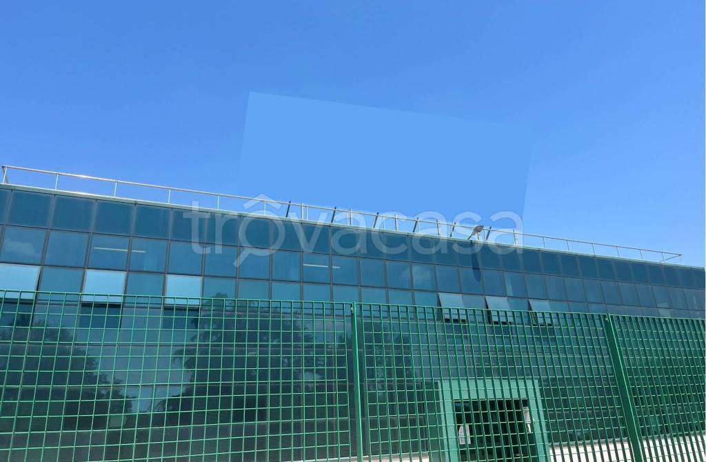 immagine annuncio 3 di 12