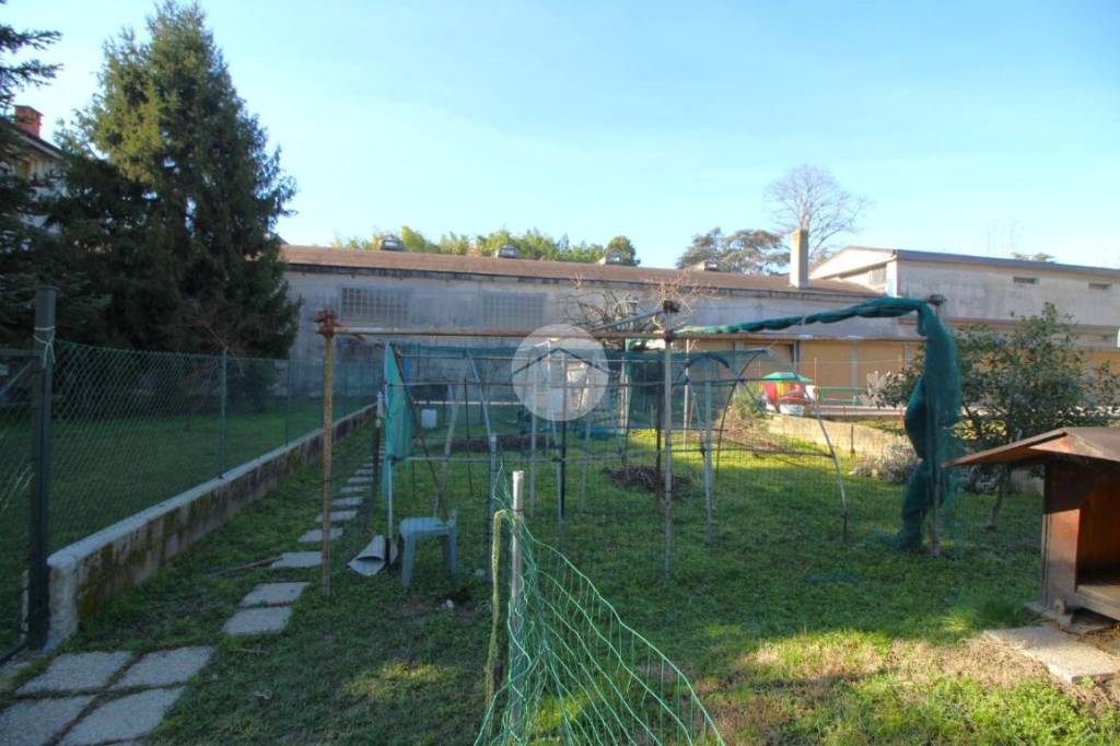 immagine annuncio 11 di 15