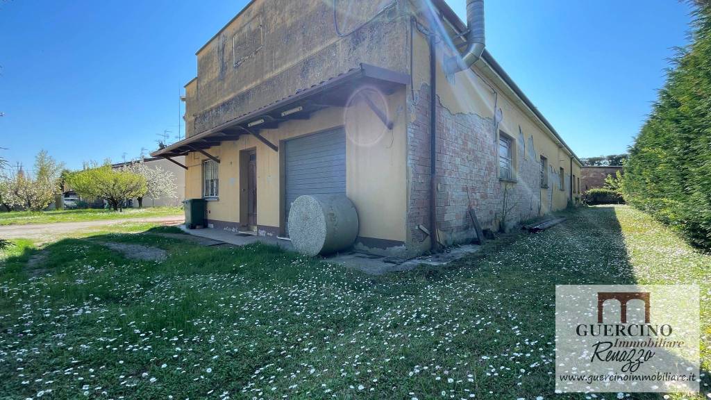 immagine annuncio 11 di 12