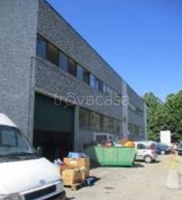 immagine annuncio 1 di 11