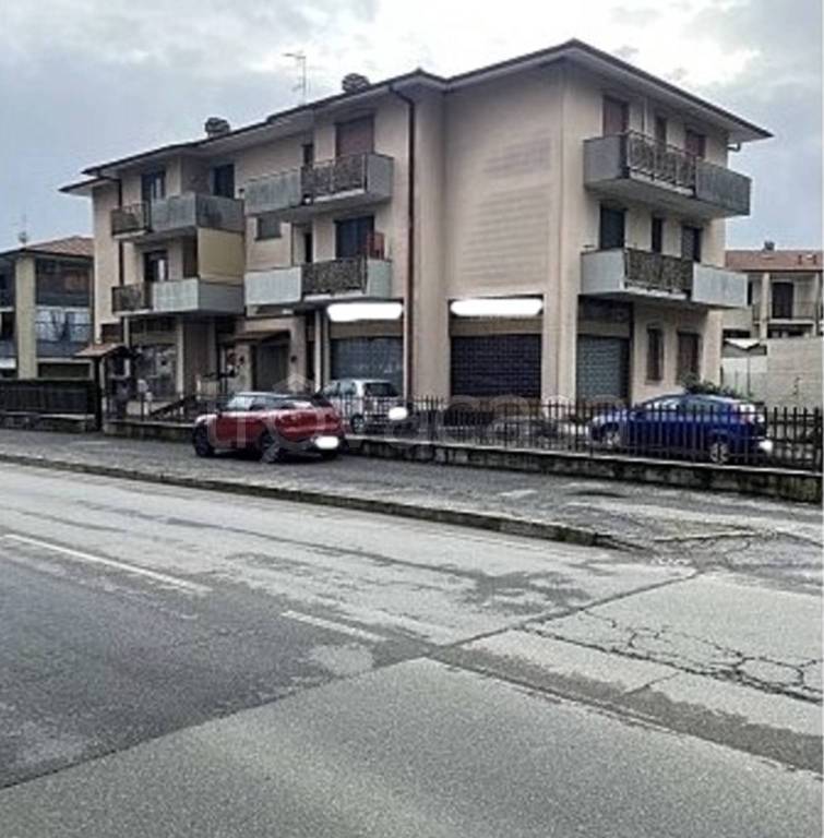 immagine annuncio 3 di 14