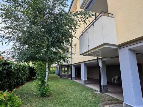 immagine annuncio 10 di 14