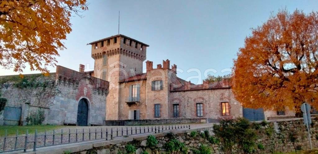 immagine annuncio 7 di 8