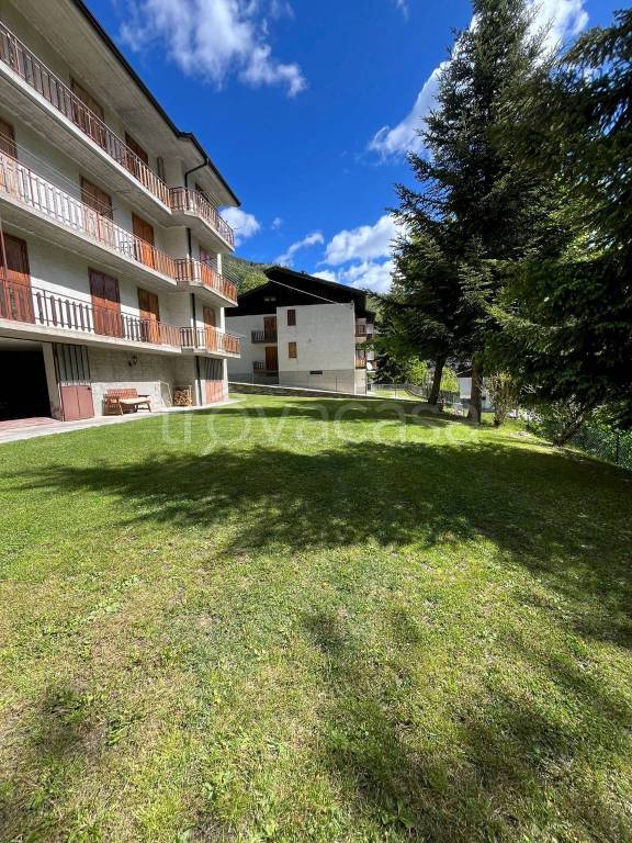 immagine annuncio 9 di 13