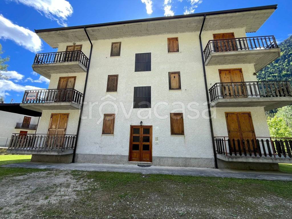 immagine annuncio 11 di 13