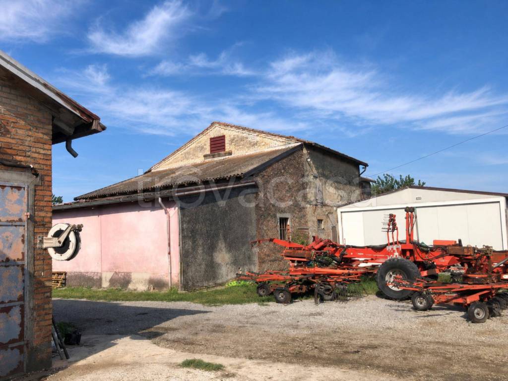 immagine annuncio 7 di 11