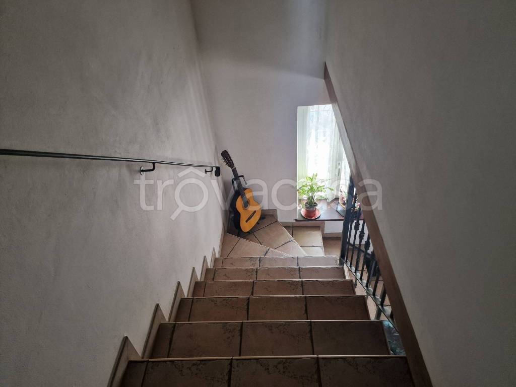 immagine annuncio 9 di 14