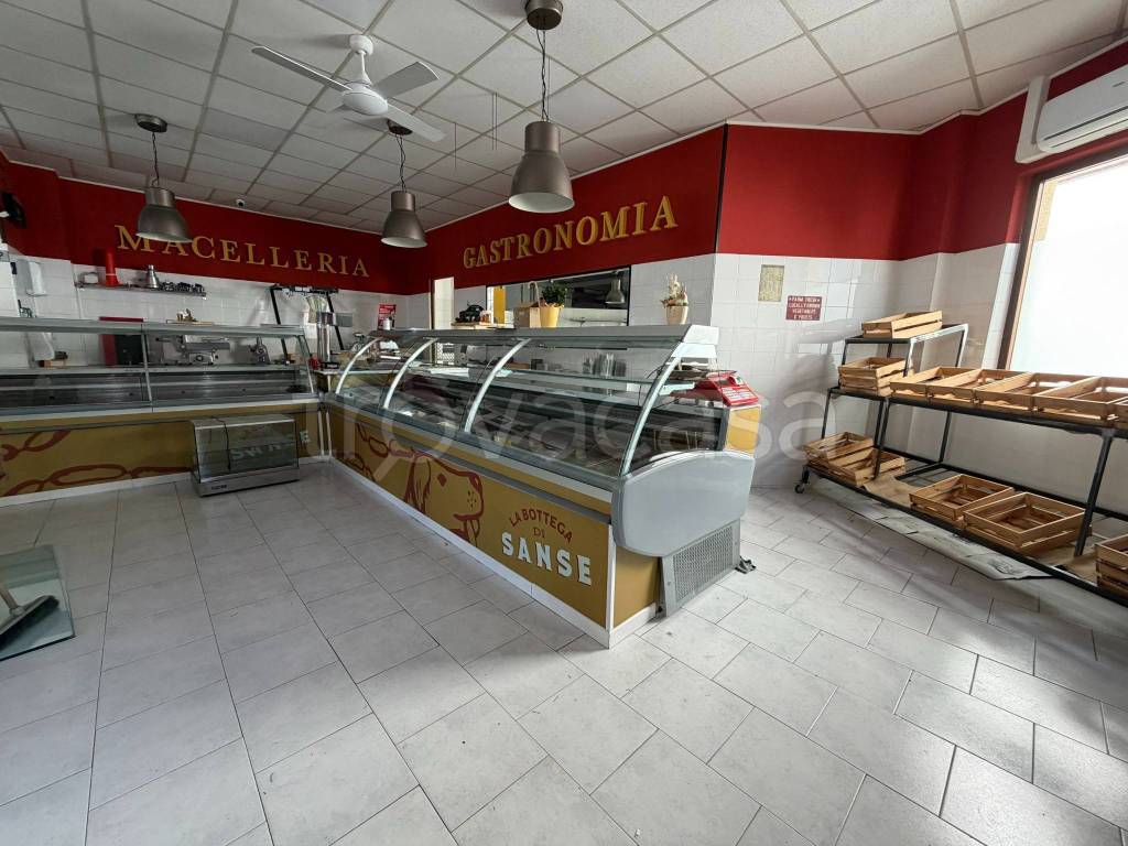 immagine annuncio 3 di 13