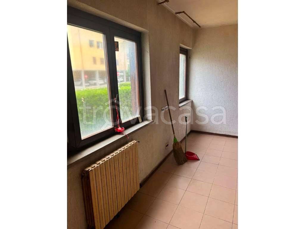 immagine annuncio 3 di 12