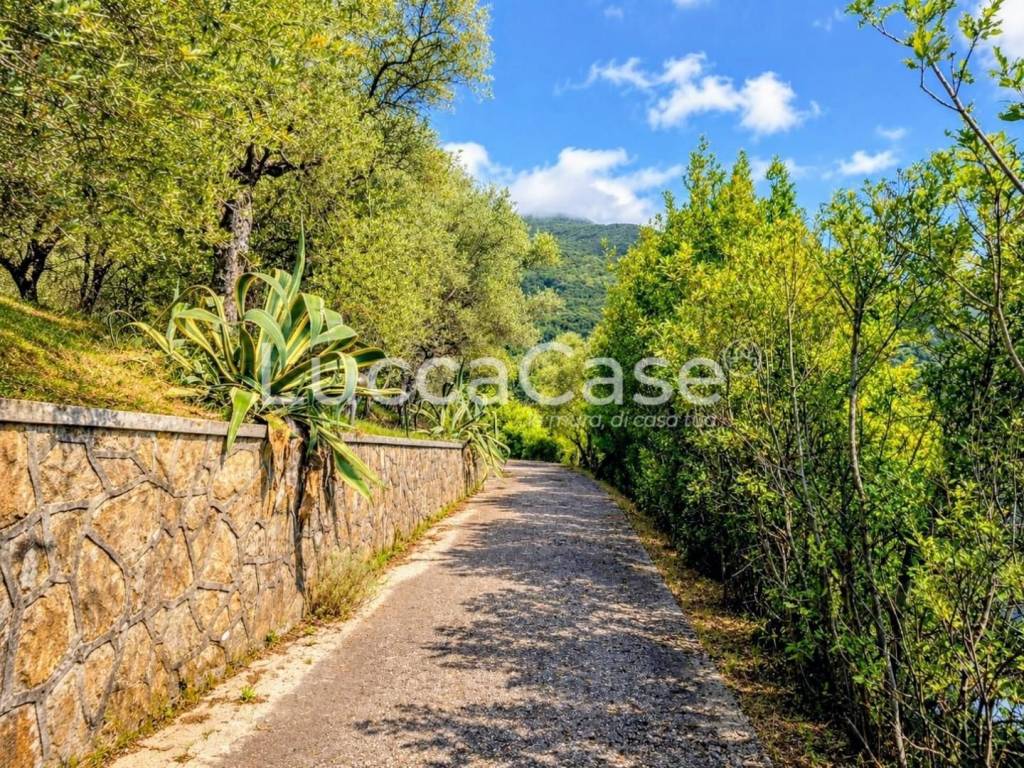 immagine annuncio 9 di 12