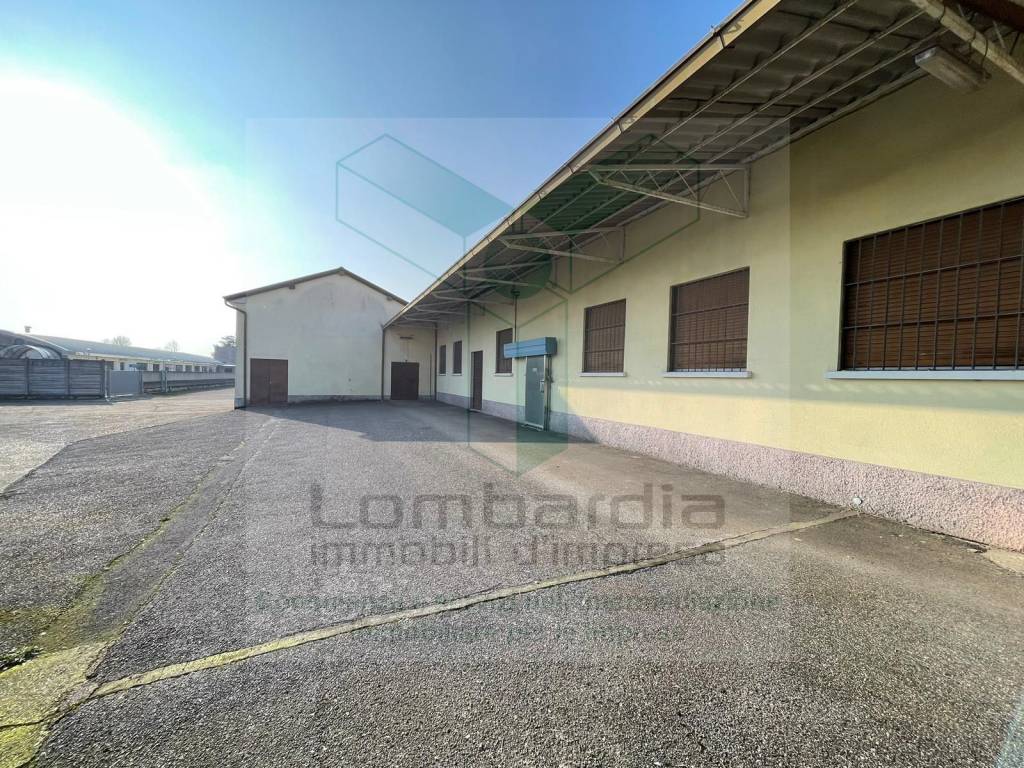 immagine annuncio 7 di 10