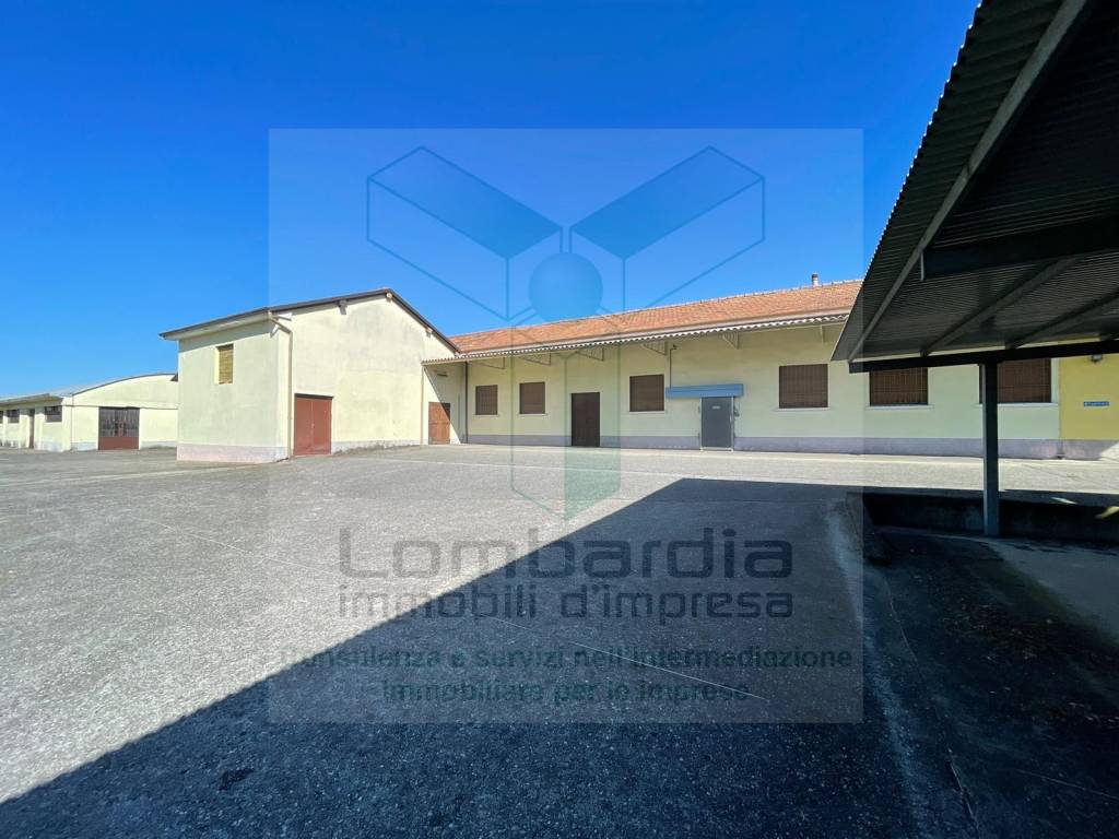 immagine annuncio 8 di 10
