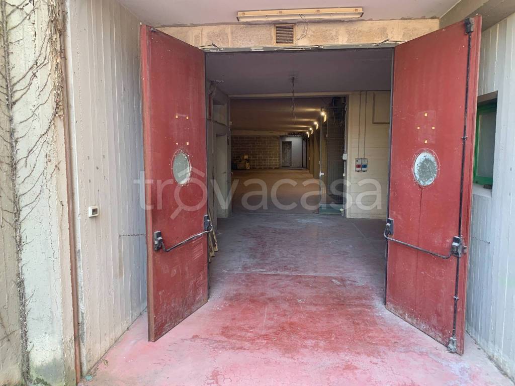 immagine annuncio 3 di 13