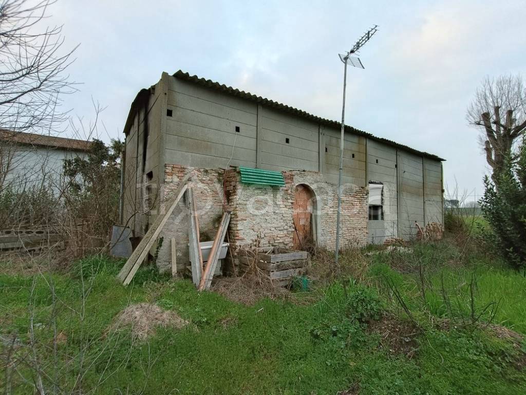 immagine annuncio 3 di 6