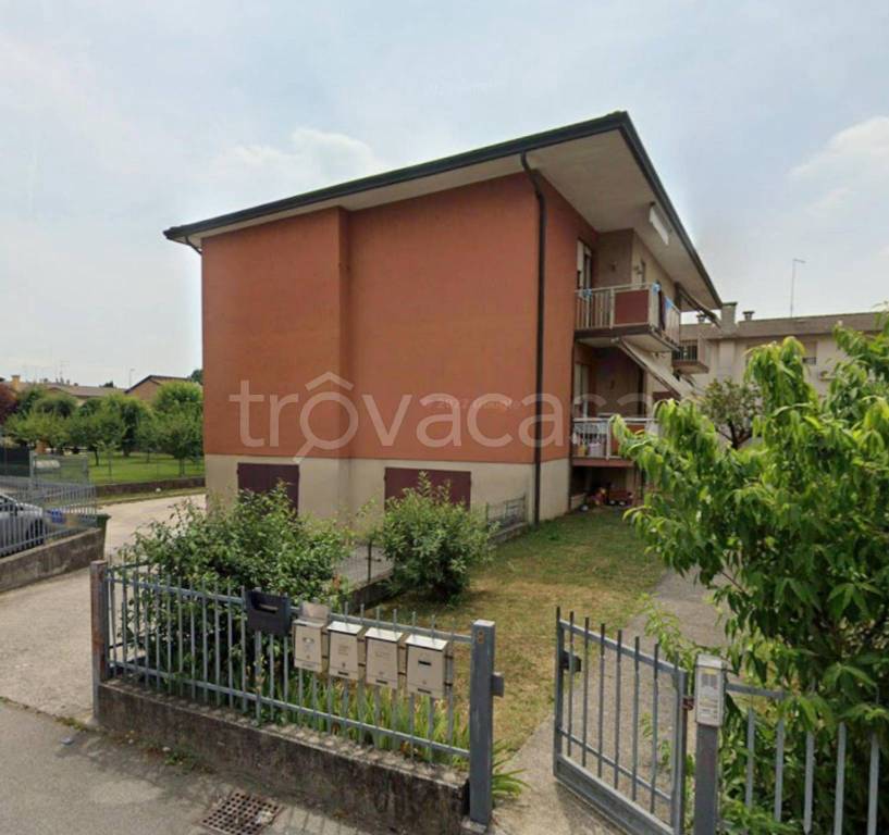 immagine annuncio 1 di 12