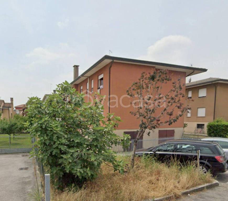 immagine annuncio 2 di 12